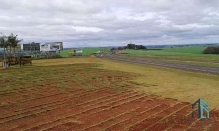 Terreno 92mil m², entre a Cidade de Rolândia e Arapongas, Rodovia 986 km 8 contorno sul de Rolândia PR