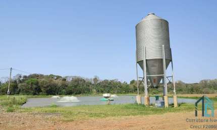 Sítio Produtivo de 5 alqueires, 7 tanques, em São Miguel do Iguaçu PR