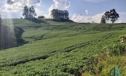 Sítio com 121.000 mil m² a venda, com Infra estrutura, no IRETEMA /Campo Mourão PR