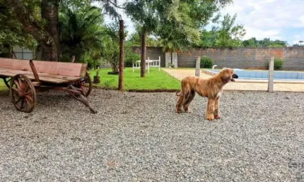 Sitio a venda medindo aprox. 20.000 mil m², no centro de mafra -sc
