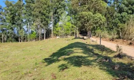 Chácara a venda 12.1 hectares, 02 casas e barracão, na água amarela em Chapecó - SC
