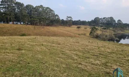 Sítio/Chácara a venda com 33 hectares bem localizado no interior de São Joaquim - SC