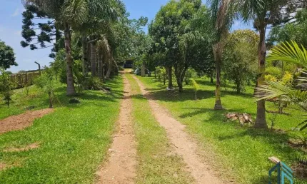 Chácara 04 casas, um comércio, tanque de peixes, ótimo investimento em  QUATRO BARRAS PR