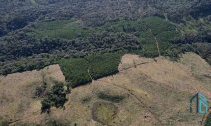 Terreno localização privilegiada, próxima à cidade e com potencial General Carneiro PR