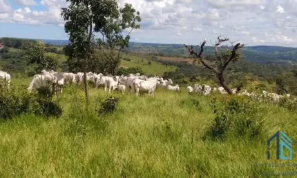 Fazenda em  abadiânia, muita água (permuta total se for em goiânia) goiania - go