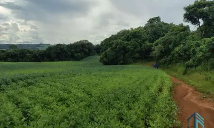 Terreno com 9,2 alqueires, área verde ideal para plantio ou construção, em campo largo pr