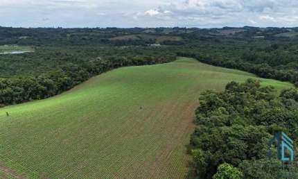 Área com 10 alqueires divisa com Rio Verde em Campo Largo - PR