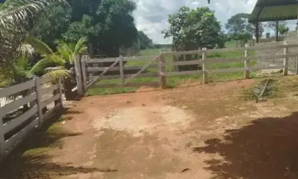 Fazenda/Sítio com 6 alqueires entre Ituaçu e Itaberaí 7 km de chão em Itaberaí em Goiânia GO