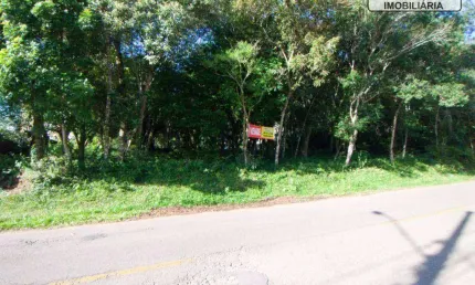 Terreno à venda, 824 m² por R$ 820.000,00 - Aristocrata - São José dos Pinhais/PR