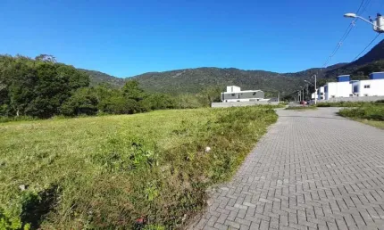 Terreno à venda na Rodovia Baldicero Filomeno, 3160, Ribeirão da Ilha, Florianópolis, 453 m2 por R$ 650.000