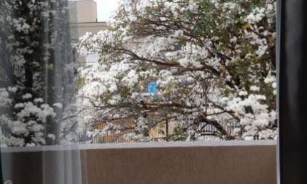 Apartamento com 2 quartos à venda na Rua Professor Paulo Dantas da Silva Júnior, 1106, Jardim Botânico, Ribeirão Preto