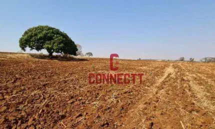 Sítio com 1 dormitório à venda, 78704 m² por R$ 6.785.000,00 - Zona Rural - Brodowski/SP