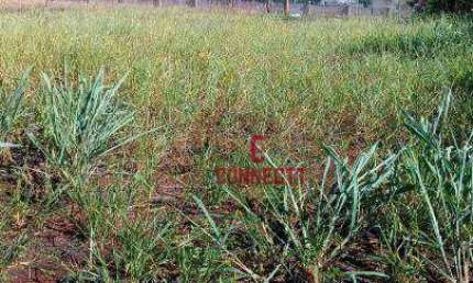 Terreno à venda na Via Anhangüera, Recreio Anhangüera, Ribeirão Preto