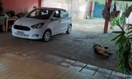 Casa à venda, 160 m² por r$ 360.000,00 - vila virgínia - ribeirão preto/sp