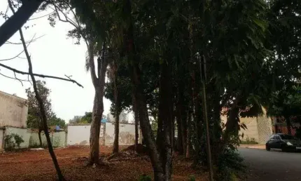 Terreno para alugar, 441 m² por r$ 13.000,00/mês - jardim irajá - ribeirão preto/sp