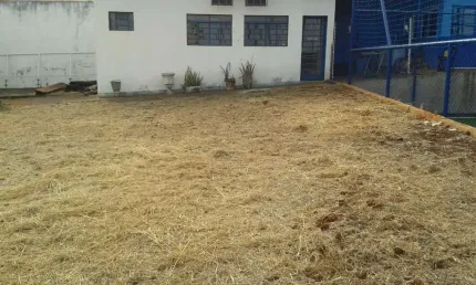 Terreno para alugar, 500 m² por r$ 7.661,75/mês - jardim palma travassos - ribeirão preto/sp