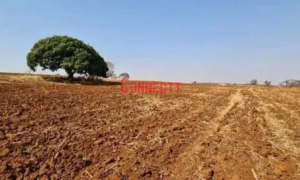 Sítio com 1 dormitório à venda, 78704 m² por r$ 6.785.000,00 - zona rural - brodowski/sp