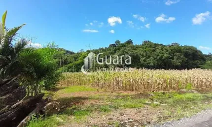 Chácara / sítio com 1 quarto à venda na João Sotter Correa, Amizade, Guaramirim