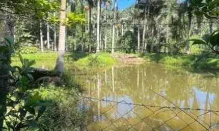 Chácara para Venda em Jaraguá do Sul / SC no bairro João Pessoa