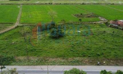Terreno para Venda em Massaranduba / SC no bairro Centro