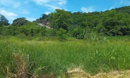Terreno para Venda em Guaramirim / SC no bairro Amizade