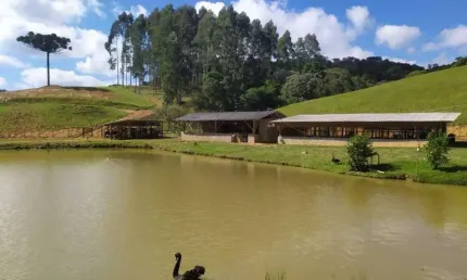 Chácara para Venda em Campo Alegre / SC no bairro Centro