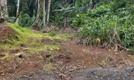 Chácara para Venda em Guaramirim / SC no bairro Amizade