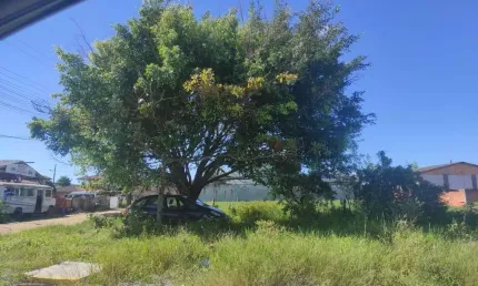 Terreno para Venda em São Francisco do Sul / SC no bairro Majorca