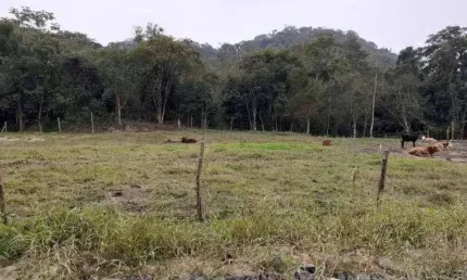 Terreno para Venda em Guaramirim / SC no bairro Caixa D água