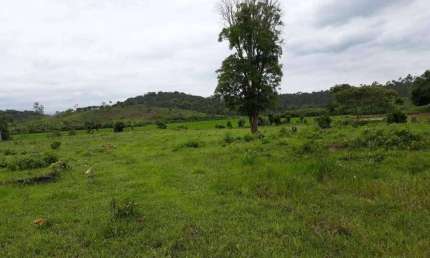 Terreno para Venda em Guaramirim / SC no bairro Guamiranga