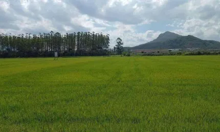 Terreno para Venda em Guaramirim / SC no bairro Escolinha