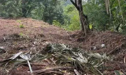 Terreno para Venda em Guaramirim / SC no bairro Amizade