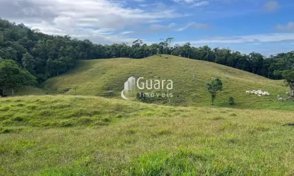 Chácara / sítio à venda na Mato Grosso, 650, Amizade, Guaramirim