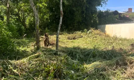 Terreno à venda na Rua José Araújo, 200, Praia do Estaleiro, Balneário Camboriú