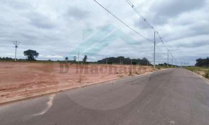 Terreno para Venda em Fazenda Rio Grande, Gralha Azul