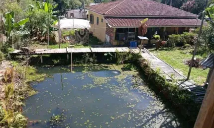 Chácara para venda em mandirituba, zona rural, 3 dormitórios, 1 banheiro, 1 vaga