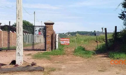 Terreno para alugar, 6000 m² por R$ 4.000,00/mês - Lageado - Porto Alegre/RS