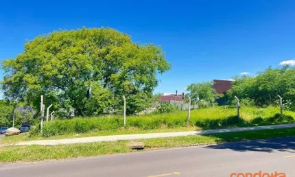 Terreno para alugar, 360 m² por R$ 2.600,00/mês - Ipanema - Porto Alegre/RS