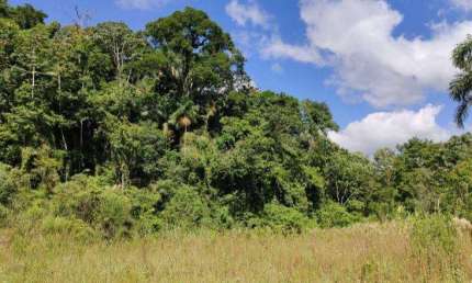 Terreno para Venda em São Bento do Sul, Rio Mandióca