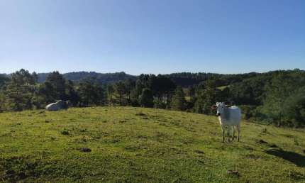 Terreno à venda na Estrada Sertãozinho, Serra Alta, São Bento do Sul