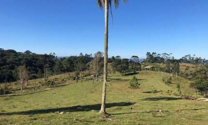 Terreno à venda na Estrada Sertãozinho, Serra Alta, São Bento do Sul
