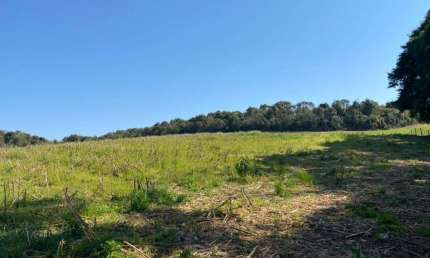 Terreno para Venda em São Bento do Sul, Dona Francisca