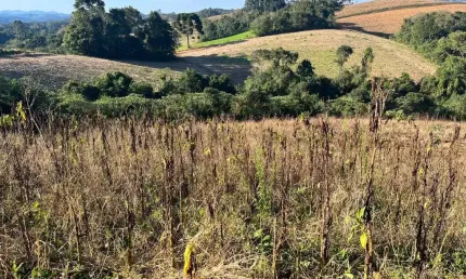 Terreno à venda na Estrada Do Turvo, Avenquinha, Campo Alegre
