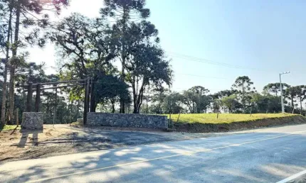 Terreno para venda em campo alegre, bateias de baixo