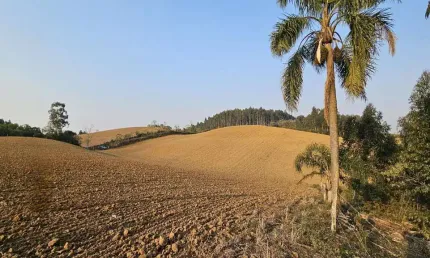 Terreno para venda em campo alegre, bateias de cima