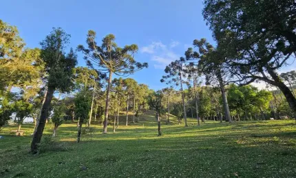Terreno à venda no Brasilia, São Bento do Sul 