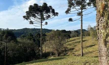 Terreno para Venda em São Bento do Sul, Rio Vermelho Povoado