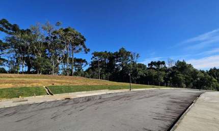 Terreno à venda na Rua Erna Schuhmacher, Brasilia, São Bento do Sul