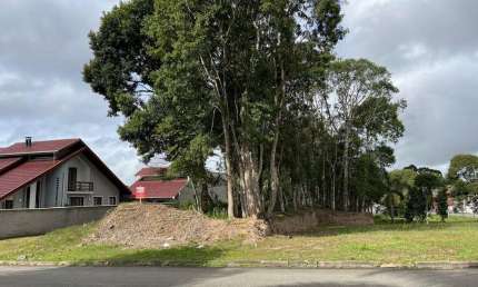 Terreno à venda na Rua Lino Zschoerper, Progresso, São Bento do Sul