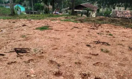 Terreno à venda na Rua Willi Pilz, Serra Alta, São Bento do Sul